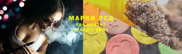 PSILOCYBIN Бугульма